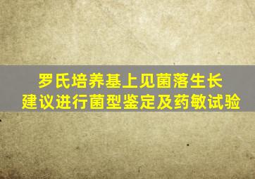 罗氏培养基上见菌落生长 建议进行菌型鉴定及药敏试验